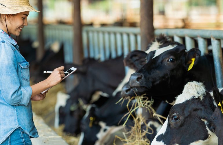 Smart systems for the dairy industry